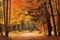 Autumn Walk Poster Print by Mike Jones - Item # VARPDXPOD5828